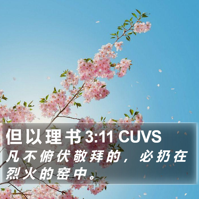 但 以 理 书 3:11 CUVS Bible Study