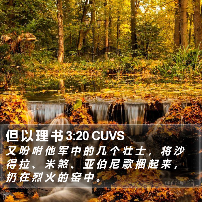 但 以 理 书 3:20 CUVS Bible Study