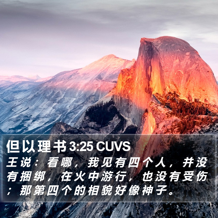但 以 理 书 3:25 CUVS Bible Study