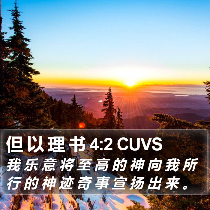 但 以 理 书 4:2 CUVS Bible Study