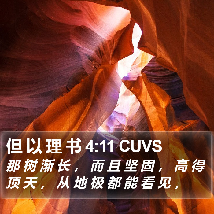 但 以 理 书 4:11 CUVS Bible Study