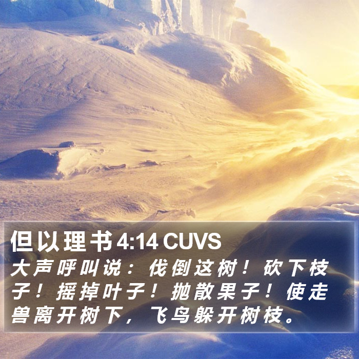 但 以 理 书 4:14 CUVS Bible Study