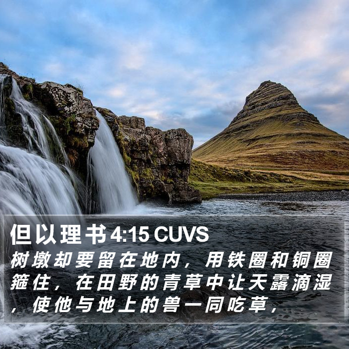 但 以 理 书 4:15 CUVS Bible Study