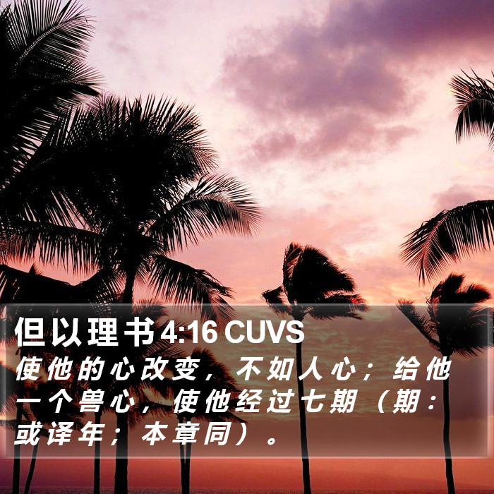 但 以 理 书 4:16 CUVS Bible Study