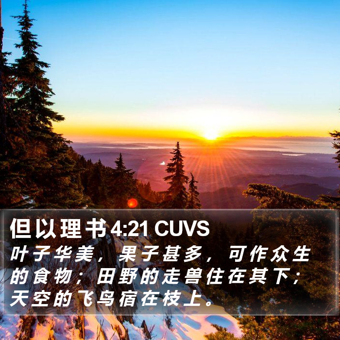 但 以 理 书 4:21 CUVS Bible Study