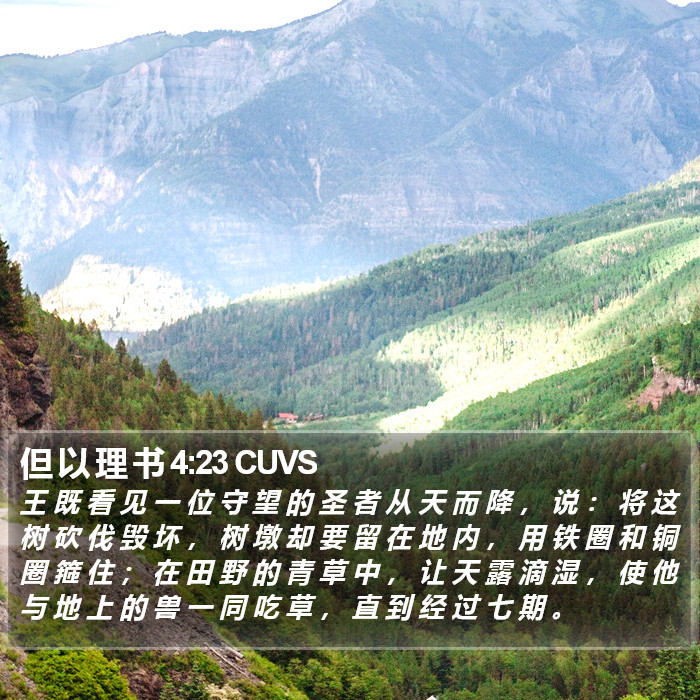 但 以 理 书 4:23 CUVS Bible Study