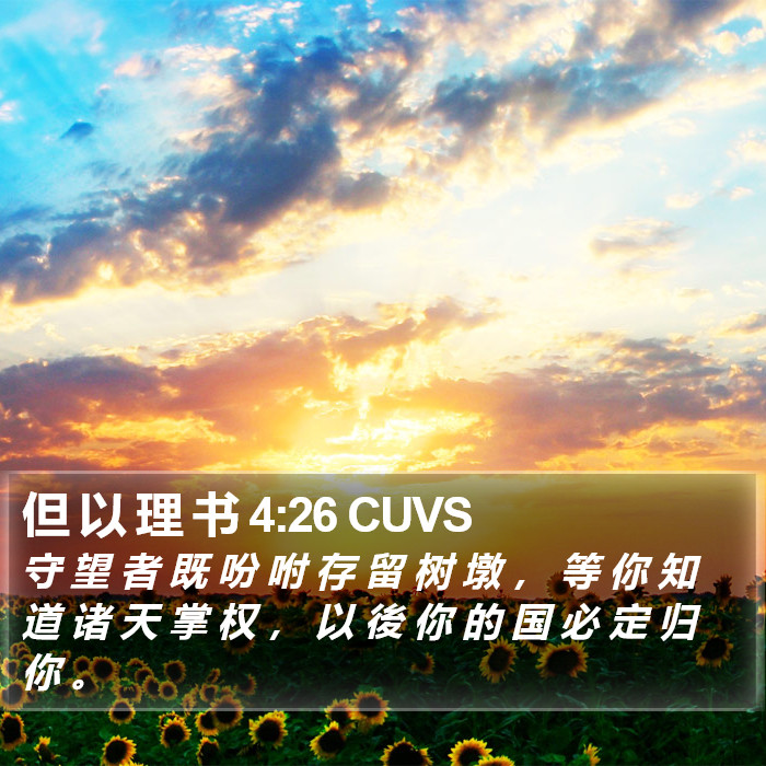 但 以 理 书 4:26 CUVS Bible Study