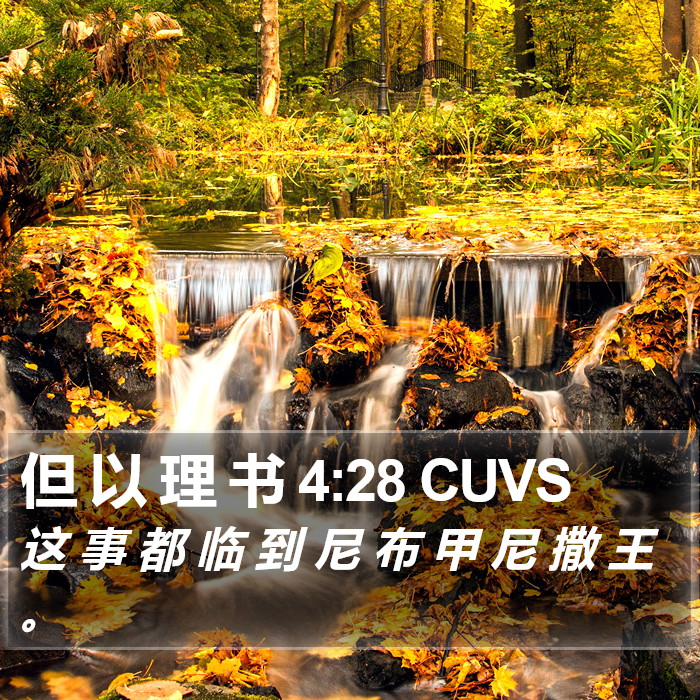 但 以 理 书 4:28 CUVS Bible Study