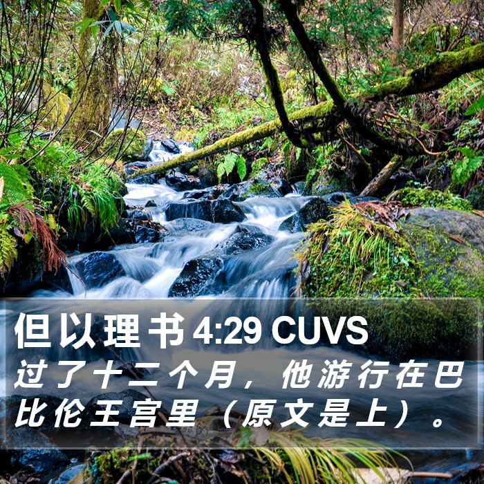 但 以 理 书 4:29 CUVS Bible Study