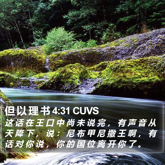 但 以 理 书 4:31 CUVS Bible Study