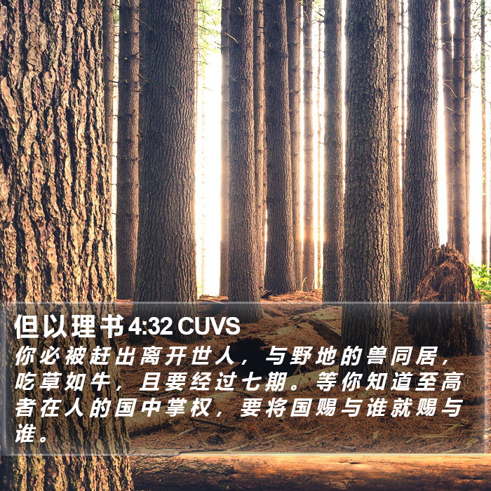 但 以 理 书 4:32 CUVS Bible Study