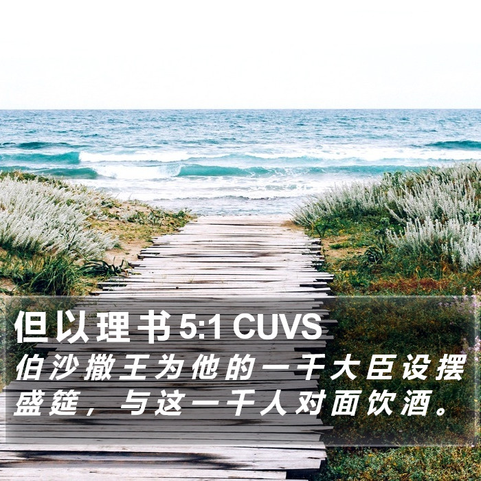 但 以 理 书 5:1 CUVS Bible Study