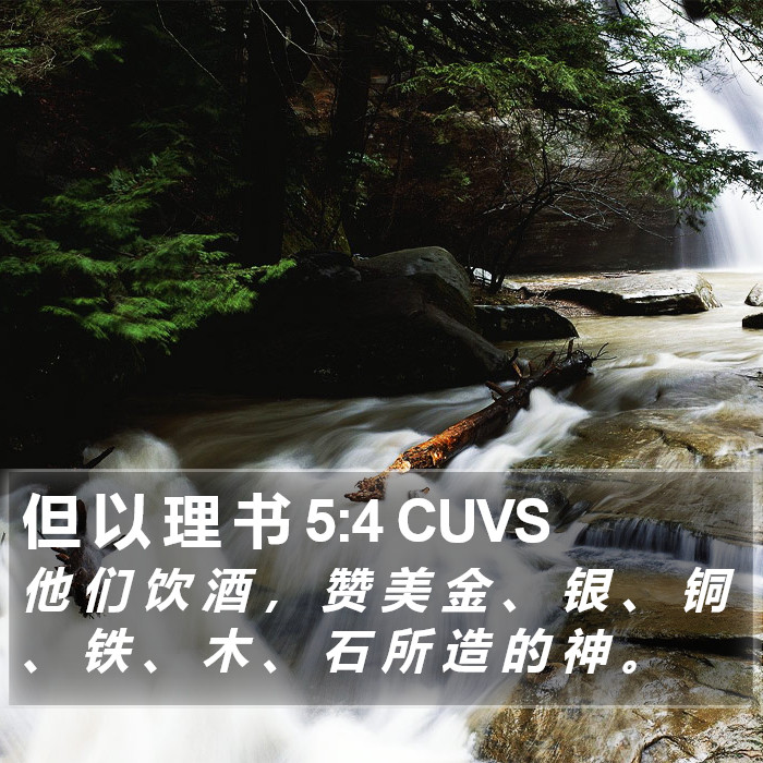 但 以 理 书 5:4 CUVS Bible Study