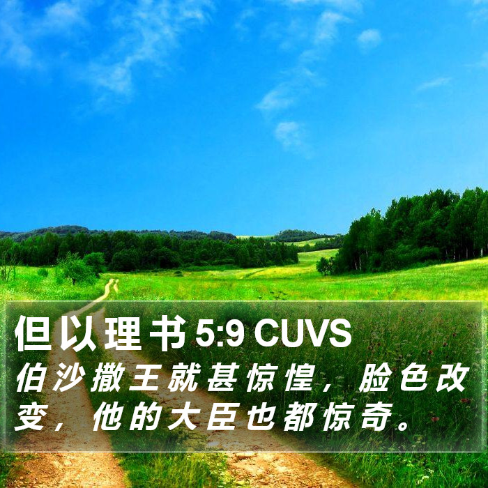 但 以 理 书 5:9 CUVS Bible Study