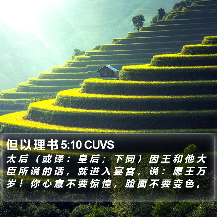 但 以 理 书 5:10 CUVS Bible Study