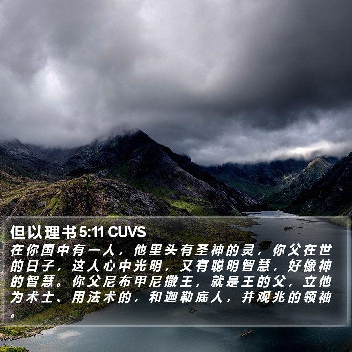 但 以 理 书 5:11 CUVS Bible Study