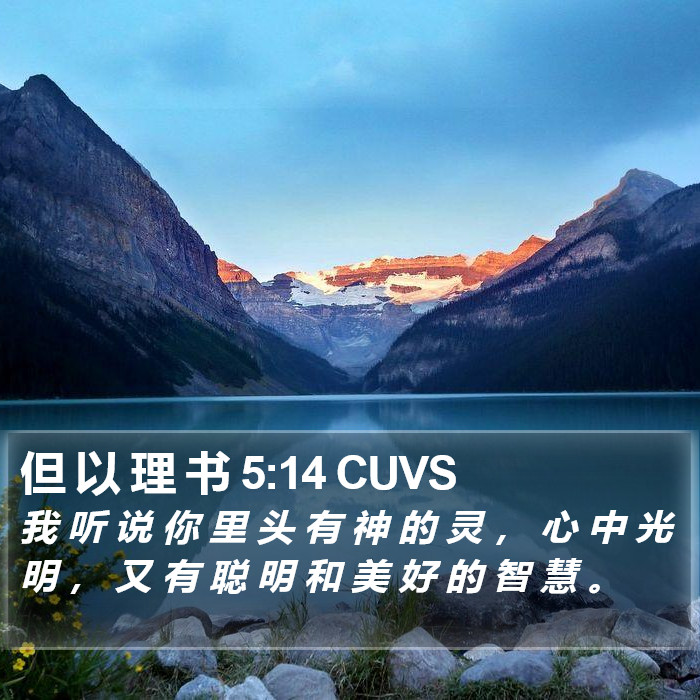 但 以 理 书 5:14 CUVS Bible Study