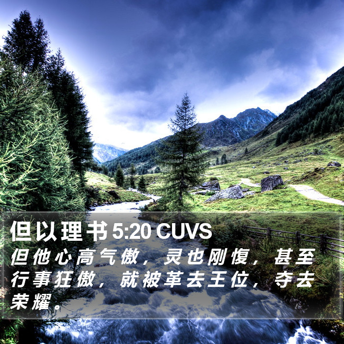 但 以 理 书 5:20 CUVS Bible Study