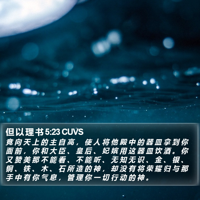 但 以 理 书 5:23 CUVS Bible Study
