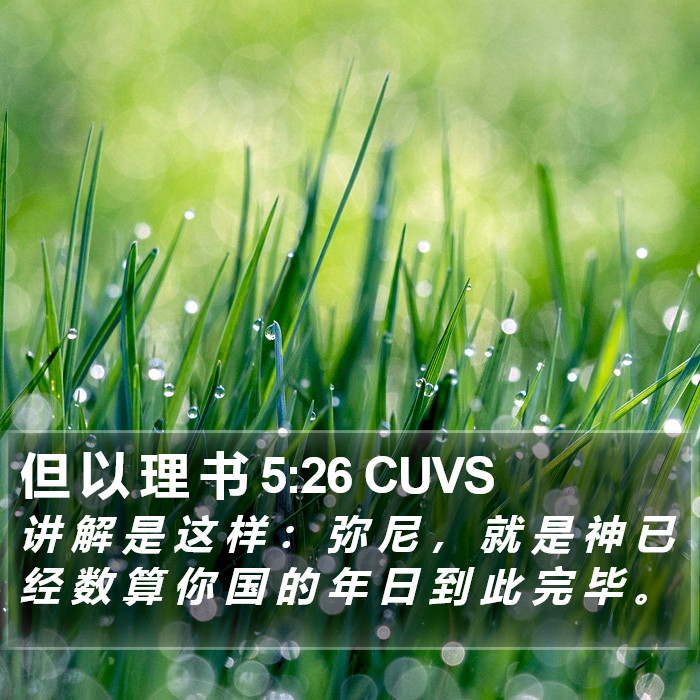 但 以 理 书 5:26 CUVS Bible Study