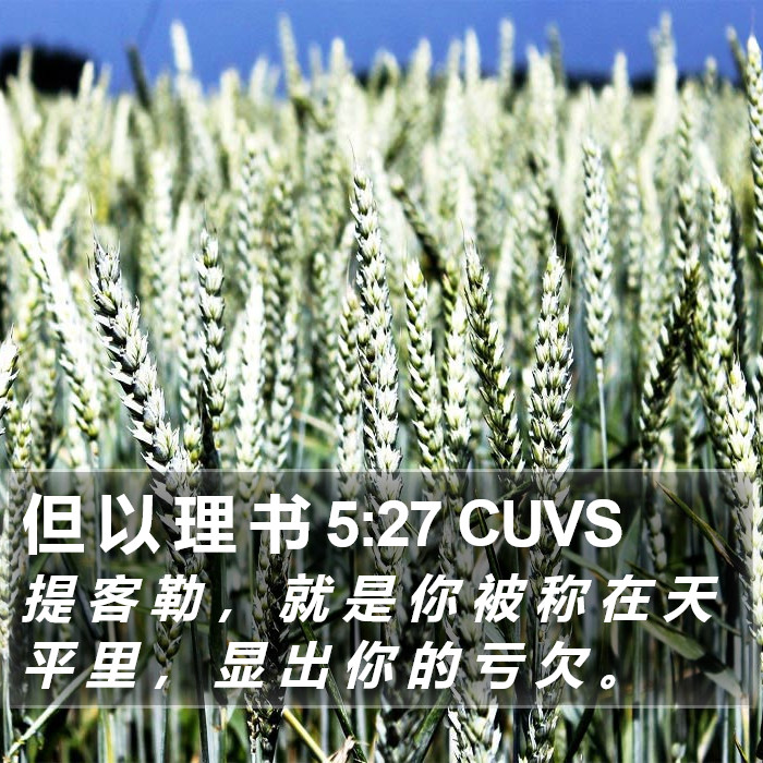 但 以 理 书 5:27 CUVS Bible Study