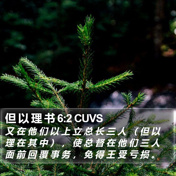 但 以 理 书 6:2 CUVS Bible Study