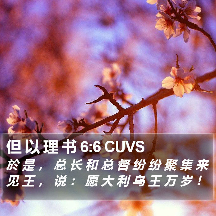 但 以 理 书 6:6 CUVS Bible Study