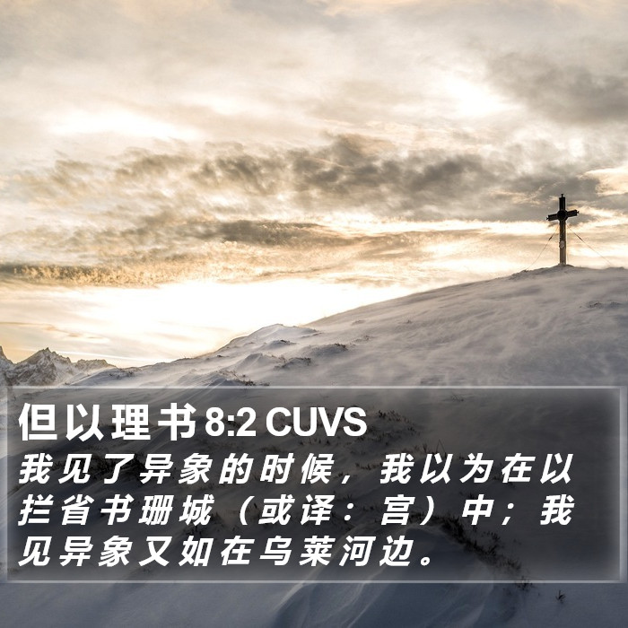 但 以 理 书 8:2 CUVS Bible Study