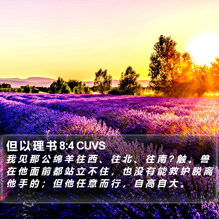 但 以 理 书 8:4 CUVS Bible Study
