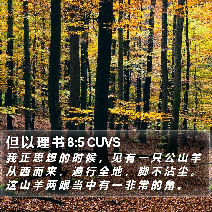 但 以 理 书 8:5 CUVS Bible Study