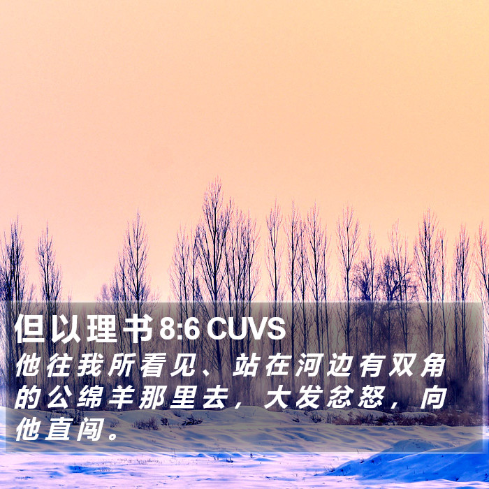 但 以 理 书 8:6 CUVS Bible Study