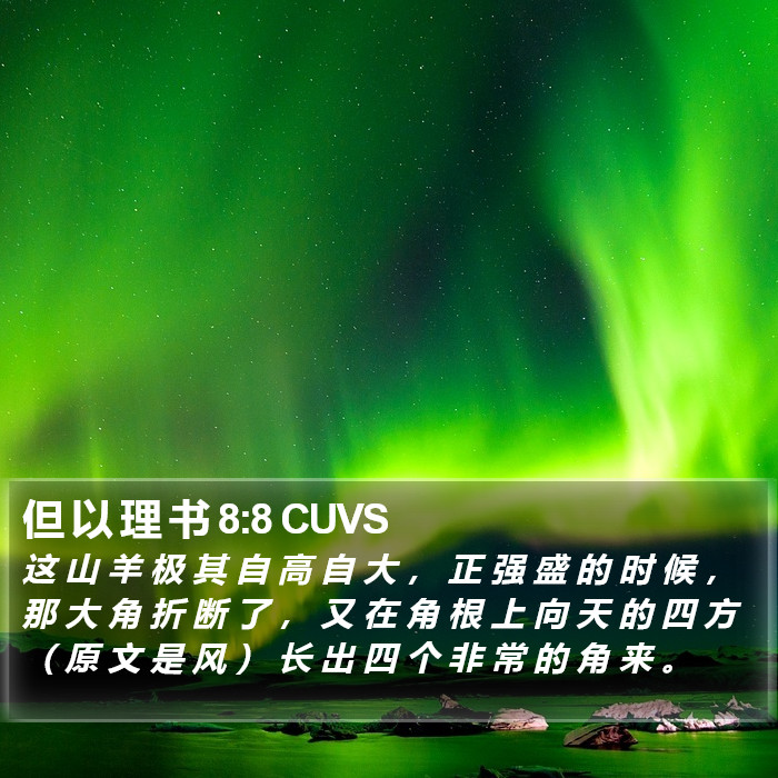 但 以 理 书 8:8 CUVS Bible Study