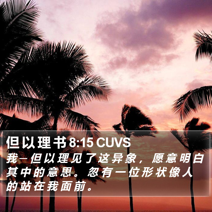 但 以 理 书 8:15 CUVS Bible Study