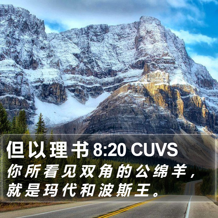 但 以 理 书 8:20 CUVS Bible Study