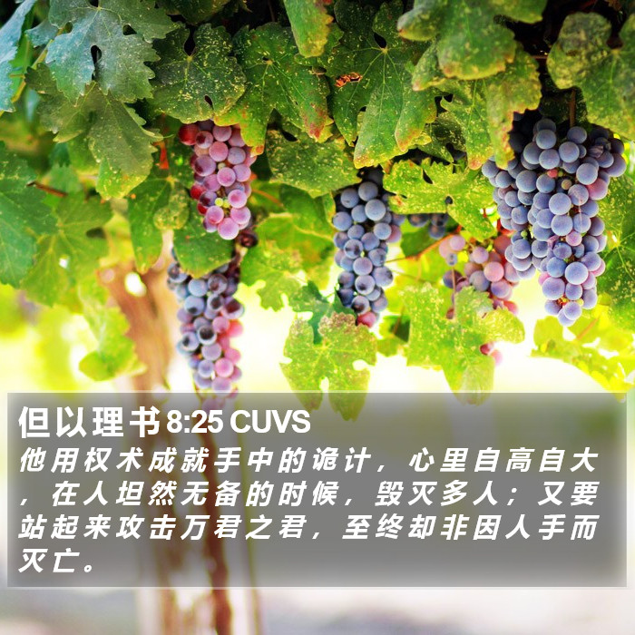 但 以 理 书 8:25 CUVS Bible Study