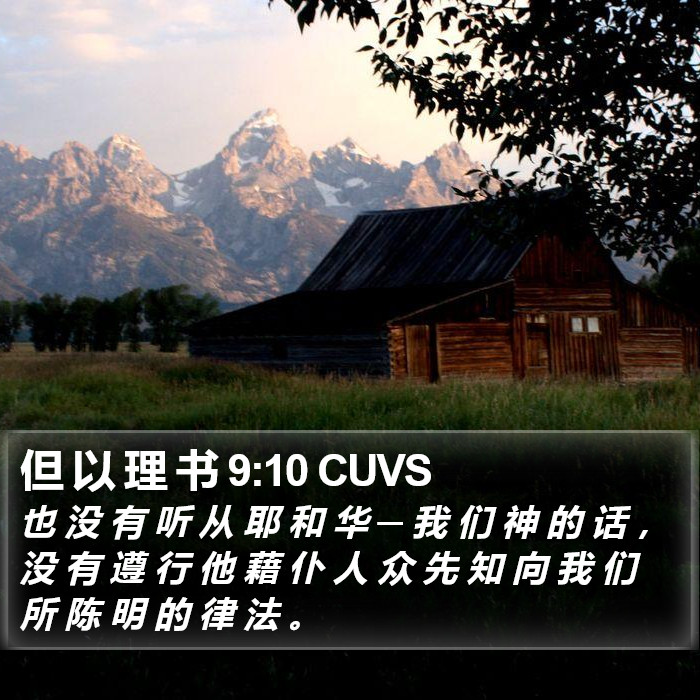 但 以 理 书 9:10 CUVS Bible Study