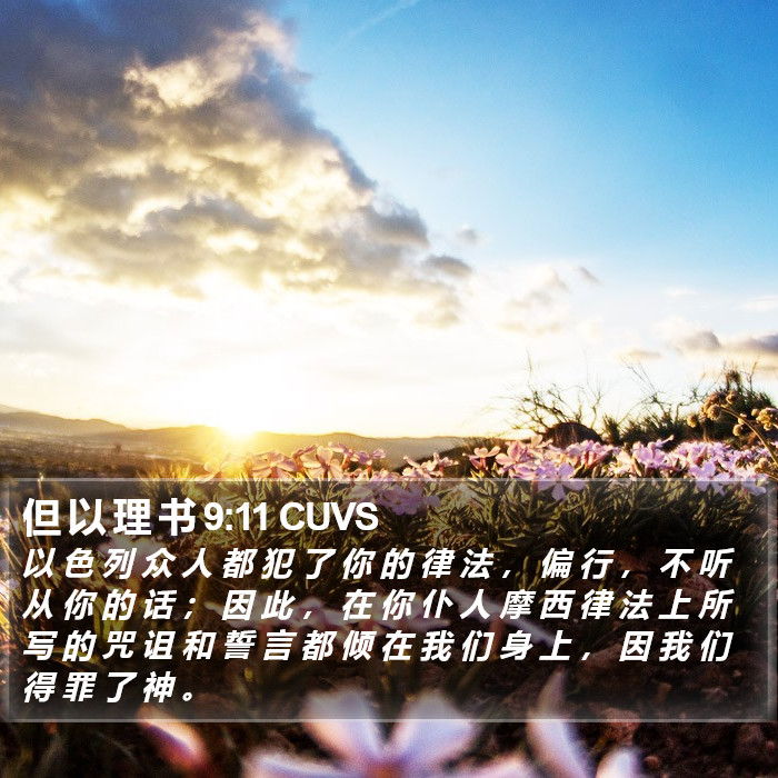 但 以 理 书 9:11 CUVS Bible Study