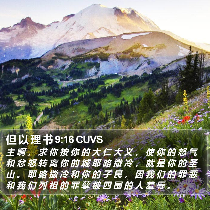 但 以 理 书 9:16 CUVS Bible Study