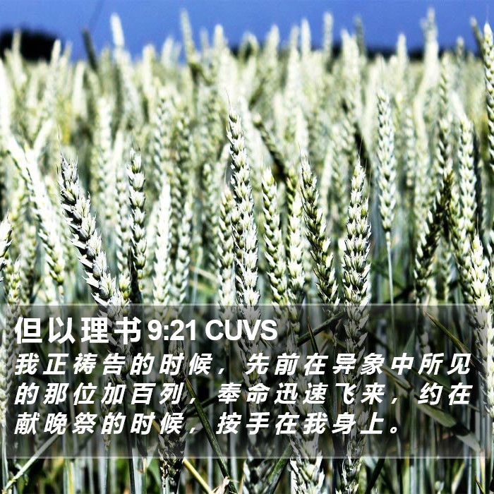 但 以 理 书 9:21 CUVS Bible Study