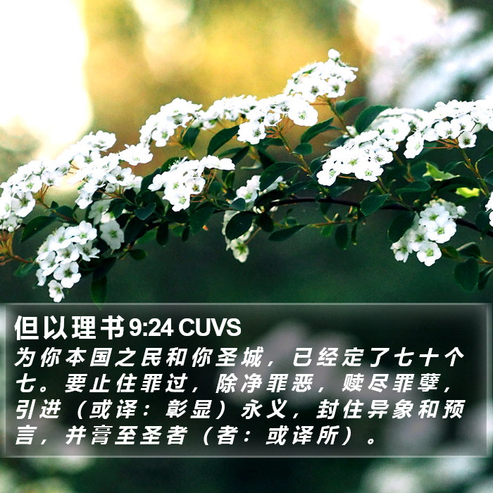 但 以 理 书 9:24 CUVS Bible Study