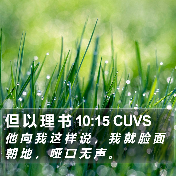 但 以 理 书 10:15 CUVS Bible Study