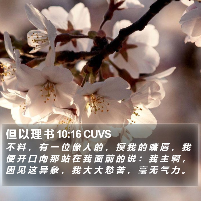 但 以 理 书 10:16 CUVS Bible Study