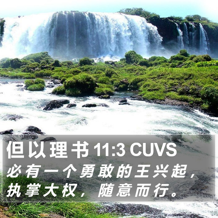 但 以 理 书 11:3 CUVS Bible Study