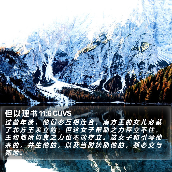 但 以 理 书 11:6 CUVS Bible Study