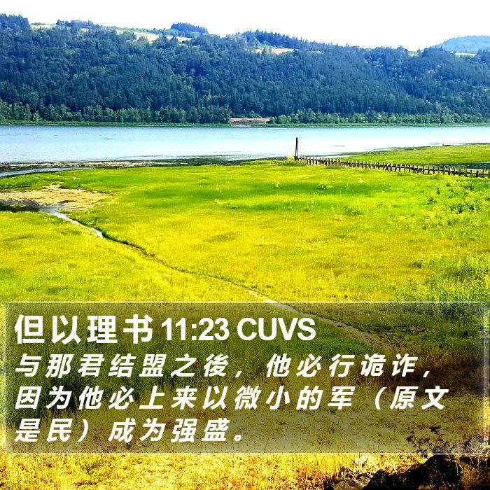 但 以 理 书 11:23 CUVS Bible Study