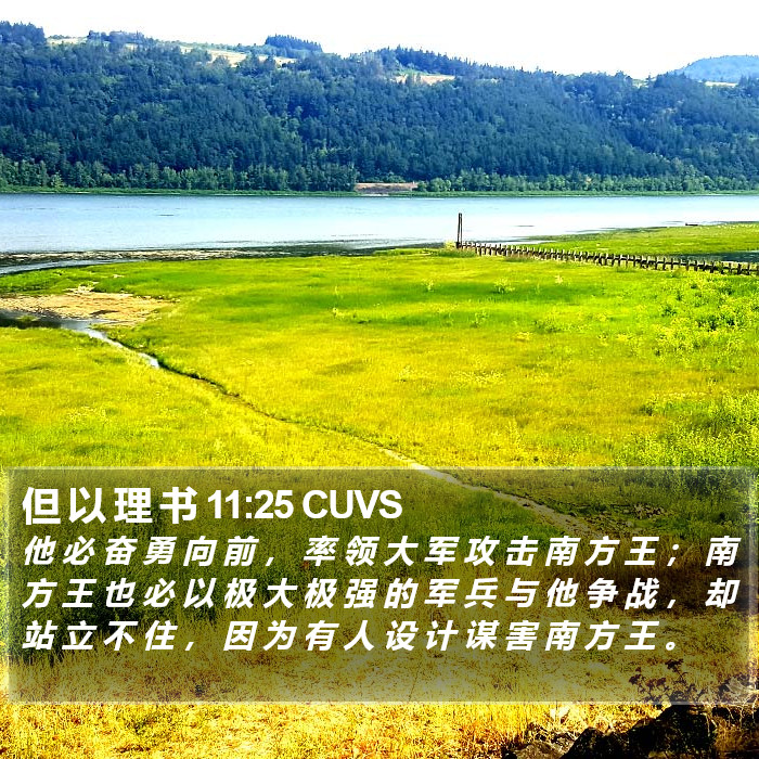 但 以 理 书 11:25 CUVS Bible Study
