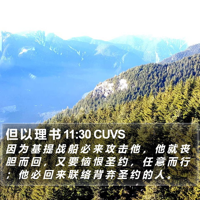 但 以 理 书 11:30 CUVS Bible Study