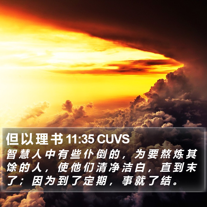 但 以 理 书 11:35 CUVS Bible Study