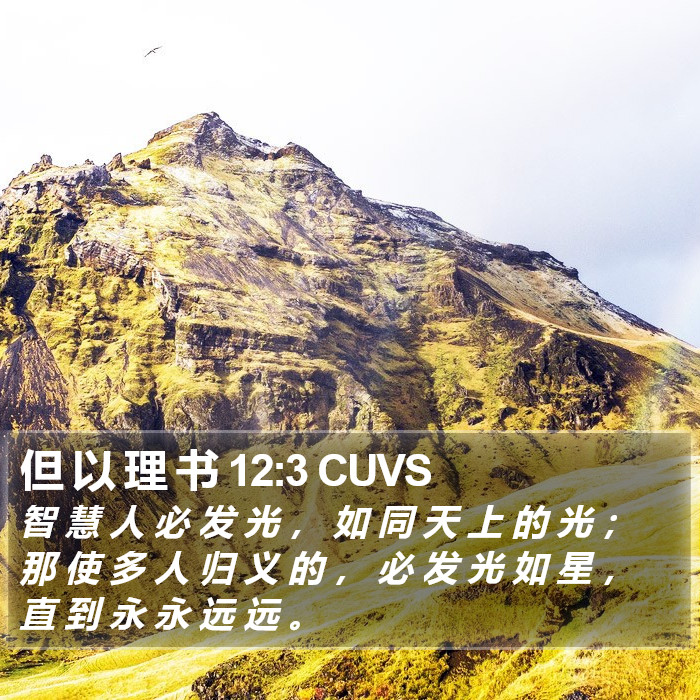 但 以 理 书 12:3 CUVS Bible Study