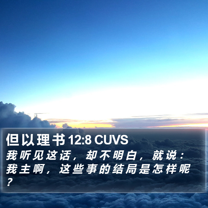 但 以 理 书 12:8 CUVS Bible Study